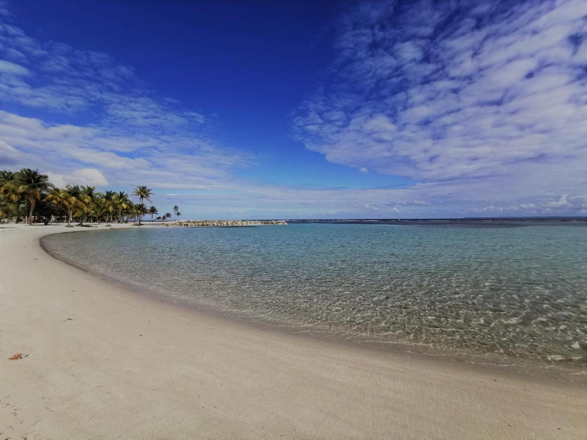 T2 Toloman - Sainte-Anne Centre - Acces Plage A Pied Exteriör bild